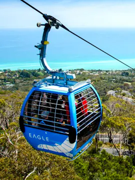 Arthur'S Seat Eagle Gondola Tickets