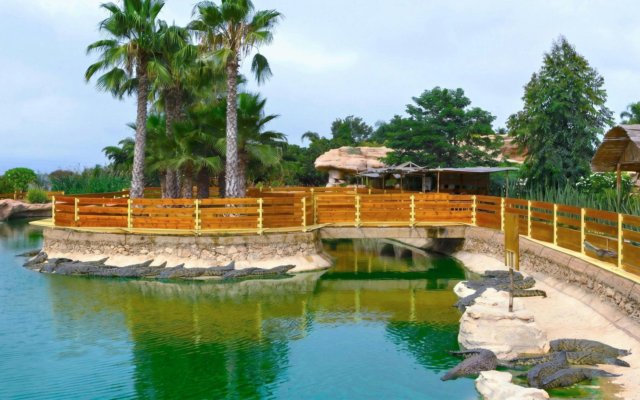 Crocodiles resting by a pond at Agadir Crocoparc, surrounded by palm trees and wooden fences.