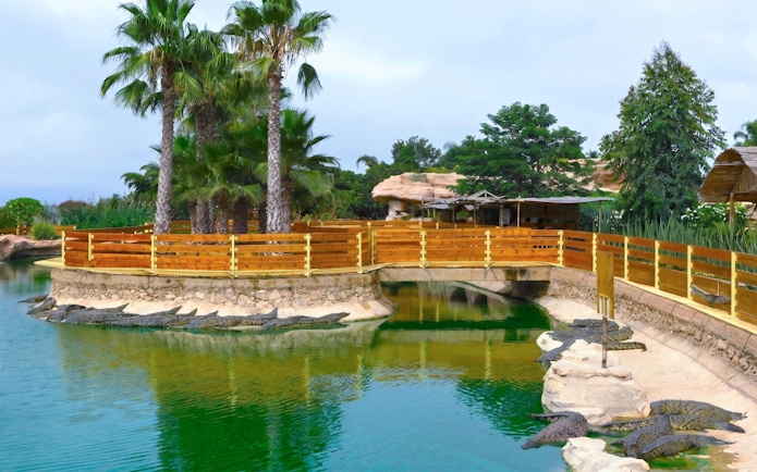 Crocodiles resting by a pond at Agadir Crocoparc, surrounded by palm trees and wooden fences.
