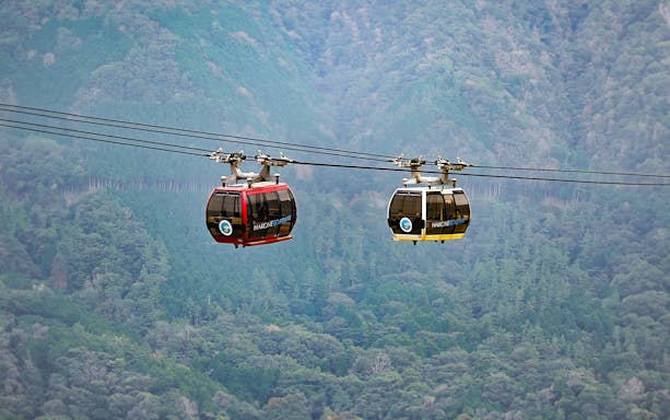 Hakone Ropeway gondolas over lush forest, Japan, part of 7-day guided tour.