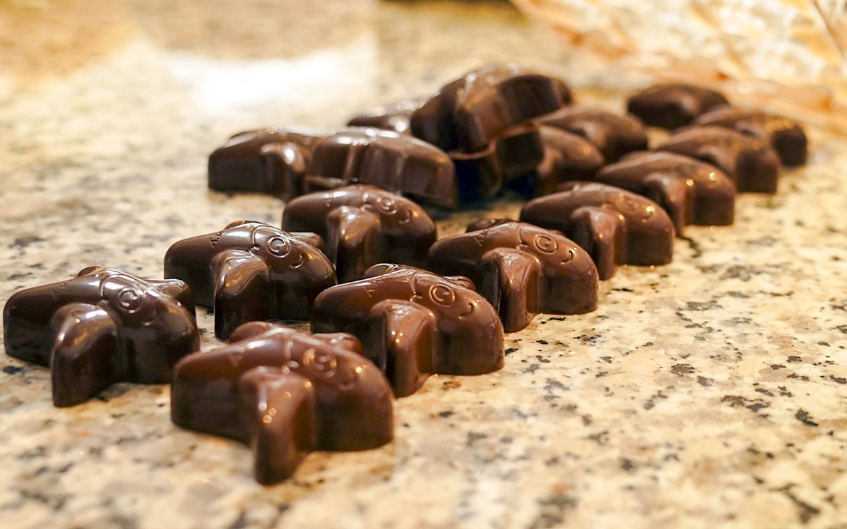 Chocolates shaped like elephants on display at Choco-Story Brussels Museum.
