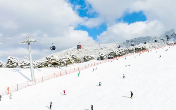 Skiers on snowy slopes with cable cars at Vivaldi Ski Park, Seoul.