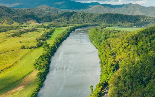 desde cairns: tour a mossman gorge y al bosque tropical de daintree, con crucero por el río daintree y almuerzo-1