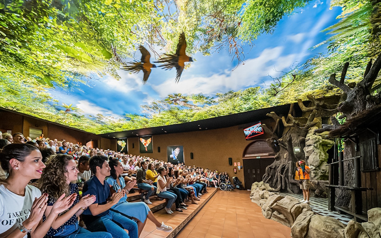 Audience watching a parrot show at Loro Park with a vibrant forest-themed ceiling.
