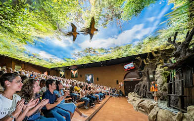 Audience watching a parrot show at Loro Park with a vibrant forest-themed ceiling.