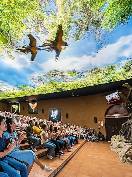 Audience watching a parrot show at Loro Park with a vibrant forest-themed ceiling.