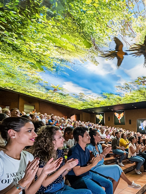 Audience watching a parrot show at Loro Park with a vibrant forest-themed ceiling.