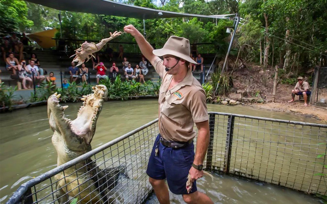 Crocodile feeding demonstration at Hartley's Crocodile Adventures, Australia.