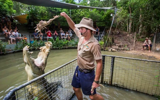 Crocodile feeding demonstration at Hartley's Crocodile Adventures, Australia.