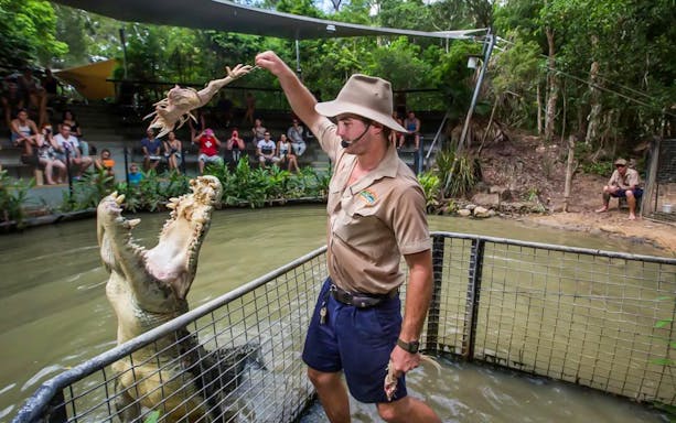 Crocodile feeding demonstration at Hartley's Crocodile Adventures, Australia.
