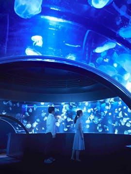 Kyoto Aquarium