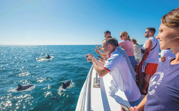 Tourists on catamaran watching dolphins near Benagil Caves.