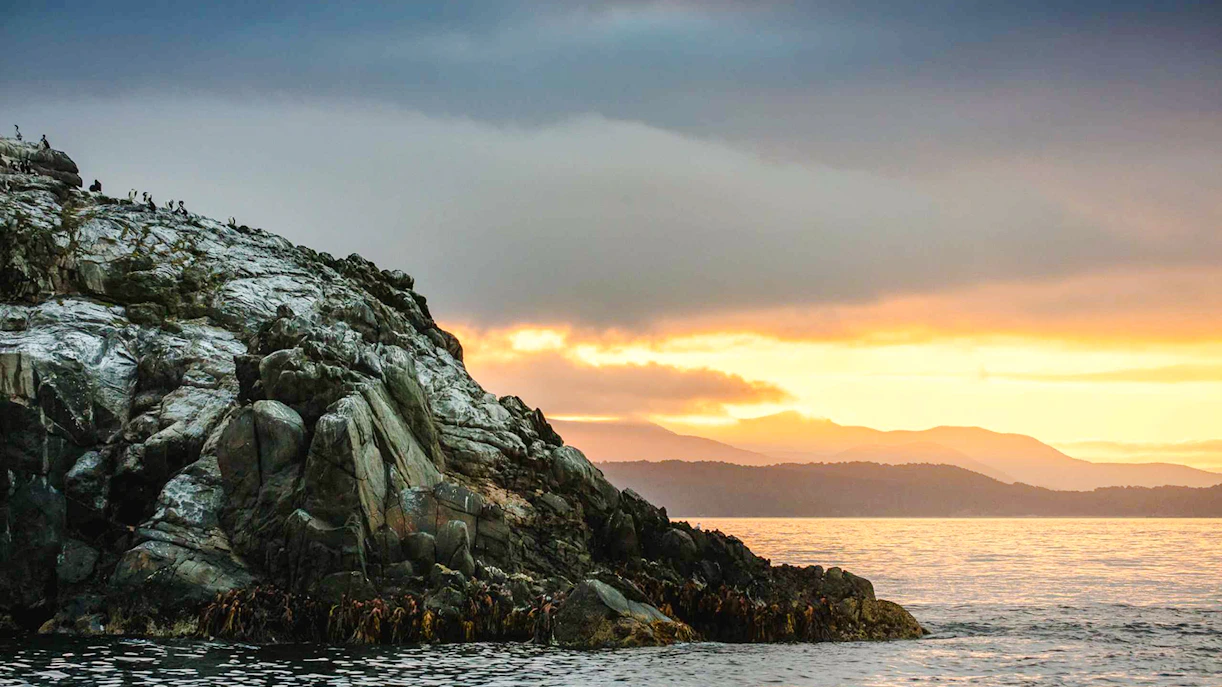 Rocky outcrop with seabirds at sunset on Stewart Island, New Zealand.