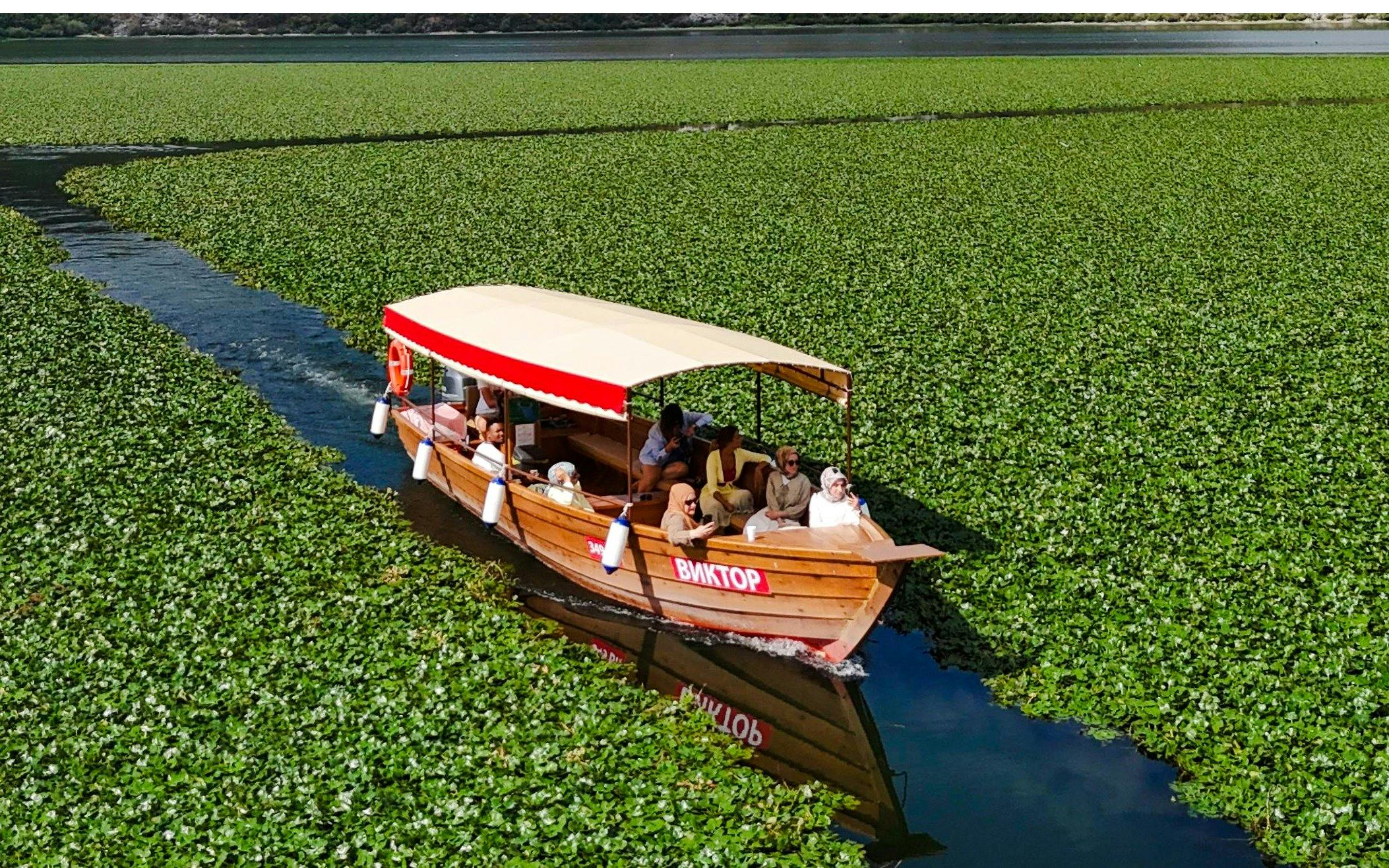 from virpazar: lake skadar 2h 10min guided boat tour with drinks-1