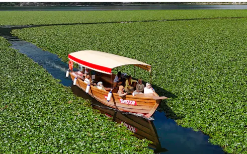 from virpazar: skadar lake national park guided boat tour with drinks-1