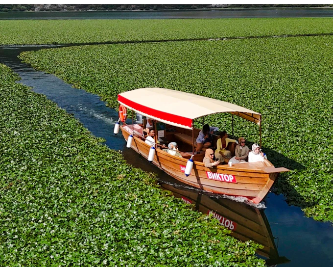 From Virpazar: Skadar Lake National Park Guided Boat Tour with Drinks