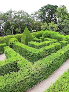 Ashcombe Maze Melbourne Tickets