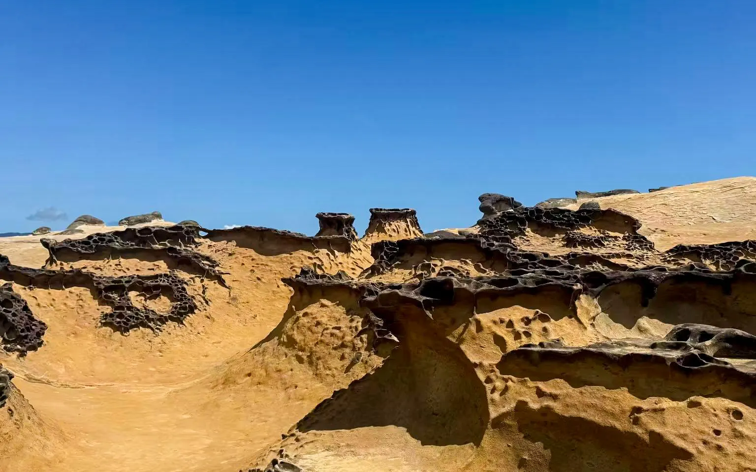 Rock formations sculpted by marine erosion at Yehliu Geopark, New Taipei City.