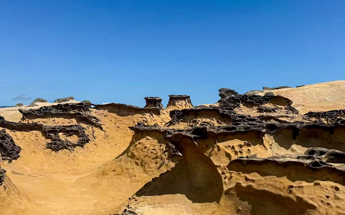 Rock formations sculpted by marine erosion at Yehliu Geopark, New Taipei City.
