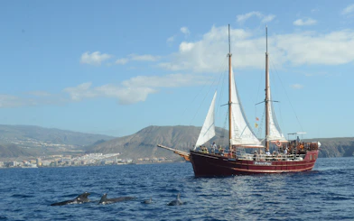 Tourists on Peter Pan pirate boat watching dolphins in Tenerife waters.