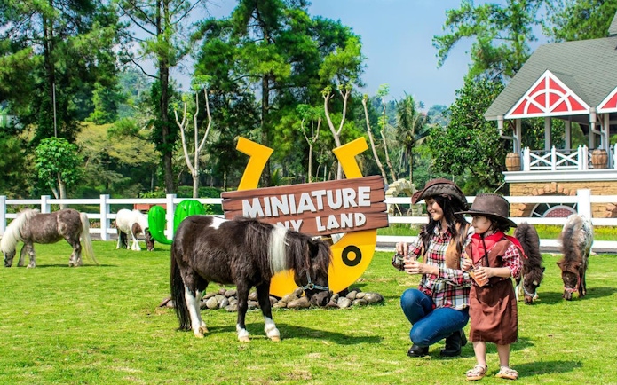 Miniature pony land at Dairyland Riverside Puncak with ponies and visitors.