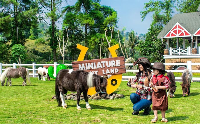 Miniature pony land at Dairyland Riverside Puncak with ponies and visitors.