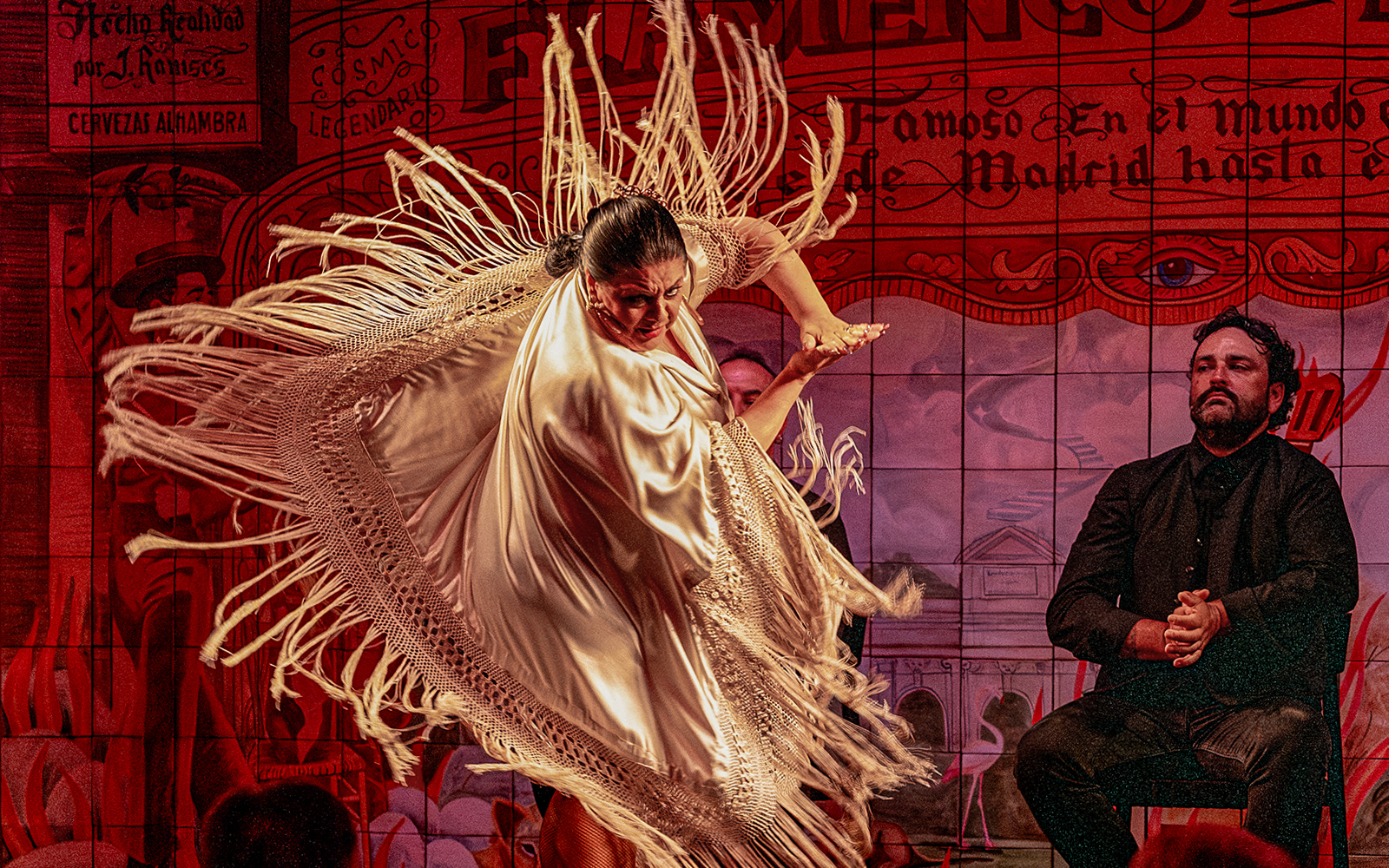 Flamenco dancer performing with shawl at Flamenco De Leones Show.