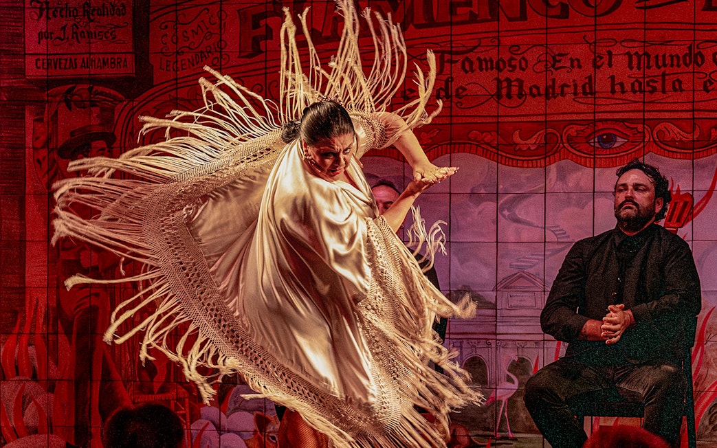 Flamenco dancer performing with shawl at Flamenco De Leones Show.