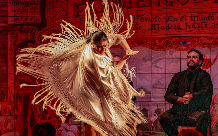 Flamenco dancer performing with shawl at Flamenco De Leones Show.