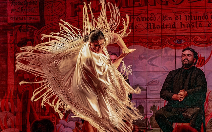 Flamenco dancer performing with shawl at Flamenco De Leones Show.