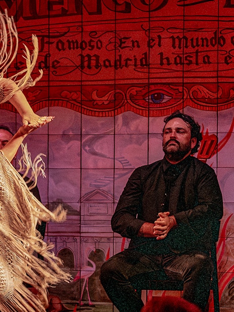 Flamenco dancer performing with shawl at Flamenco De Leones Show.