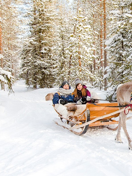 Reindeer pulling a sled through snowy forest in Lapland.