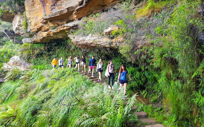 Group hiking a lush trail in the Blue Mountains, Australia.