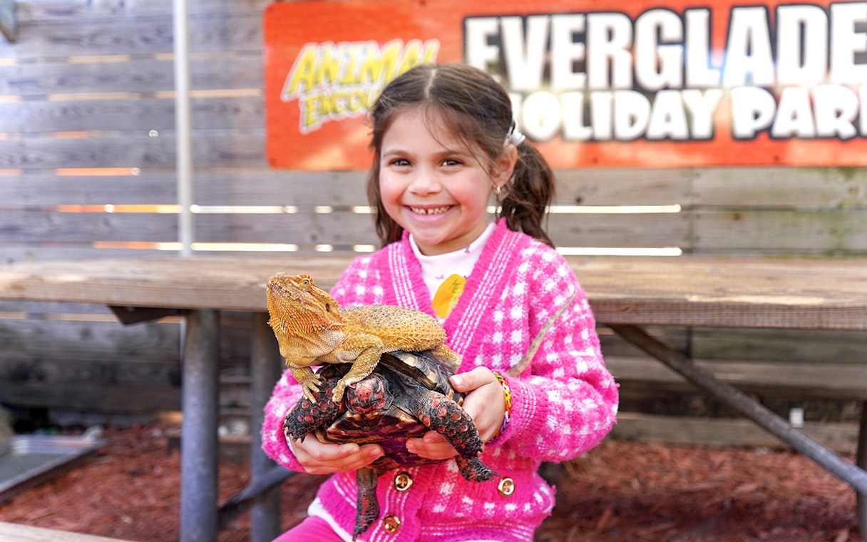 Child holding a lizard and turtle at Everglades Holiday Park animal encounter.