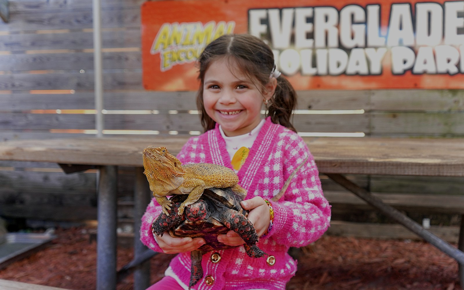 Child holding a lizard and turtle at Everglades Holiday Park animal encounter.