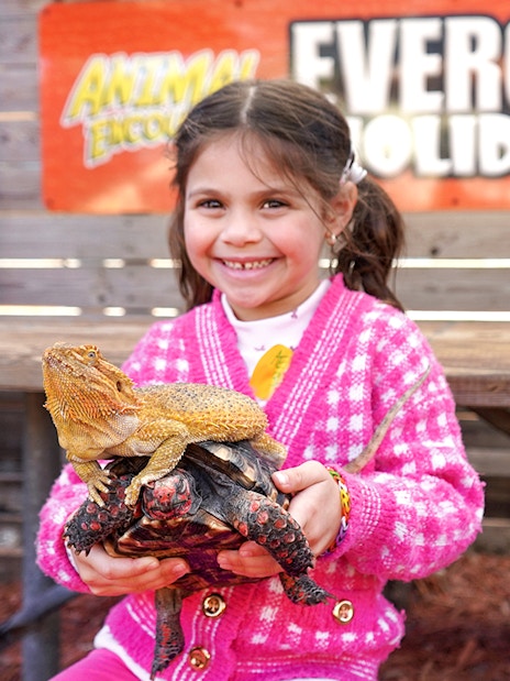 Child holding a lizard and turtle at Everglades Holiday Park animal encounter.