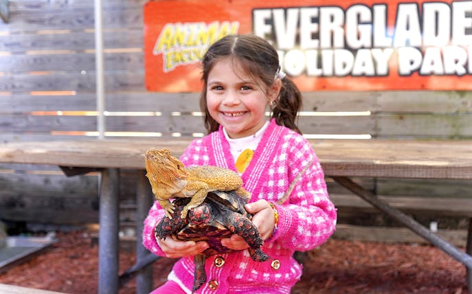 Child holding a lizard and turtle at Everglades Holiday Park animal encounter.
