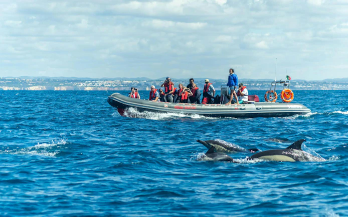 Boat tour from Portimão with tourists watching dolphins near Benagil Cave.