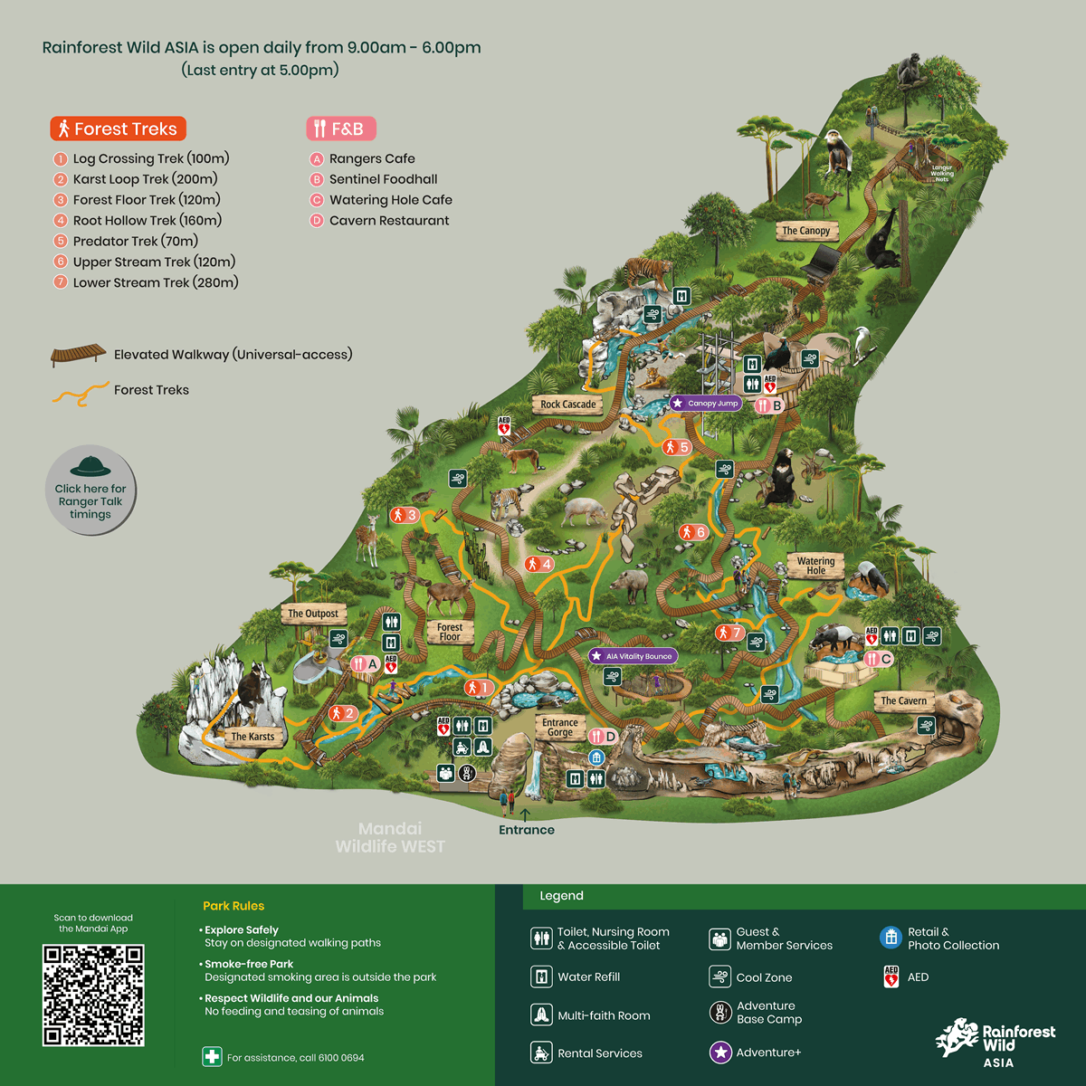 Rainforest wild asia