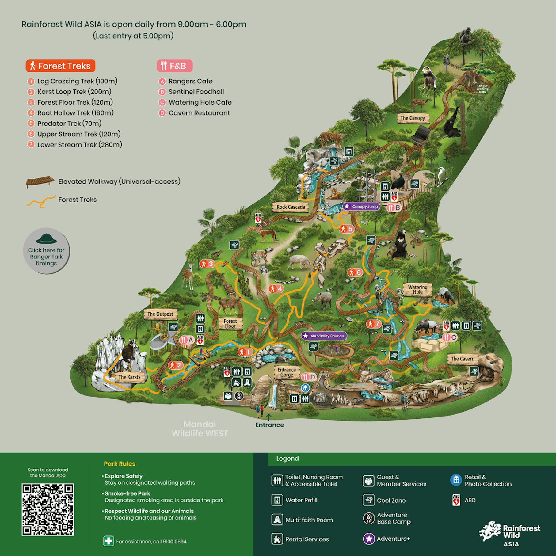 Rainforest wild asia