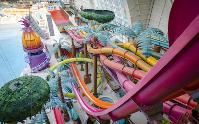 Colorful water slides at Thrillagascar & Jungle Jammer, Nickelodeon Universe, American Dream.