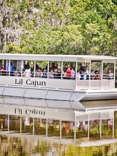 Swamp tour boat with tourists on a river surrounded by lush greenery.