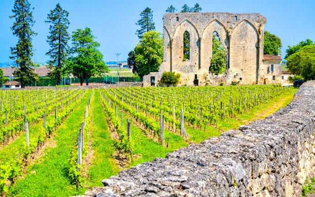 saint-émilion guided walking tour-2