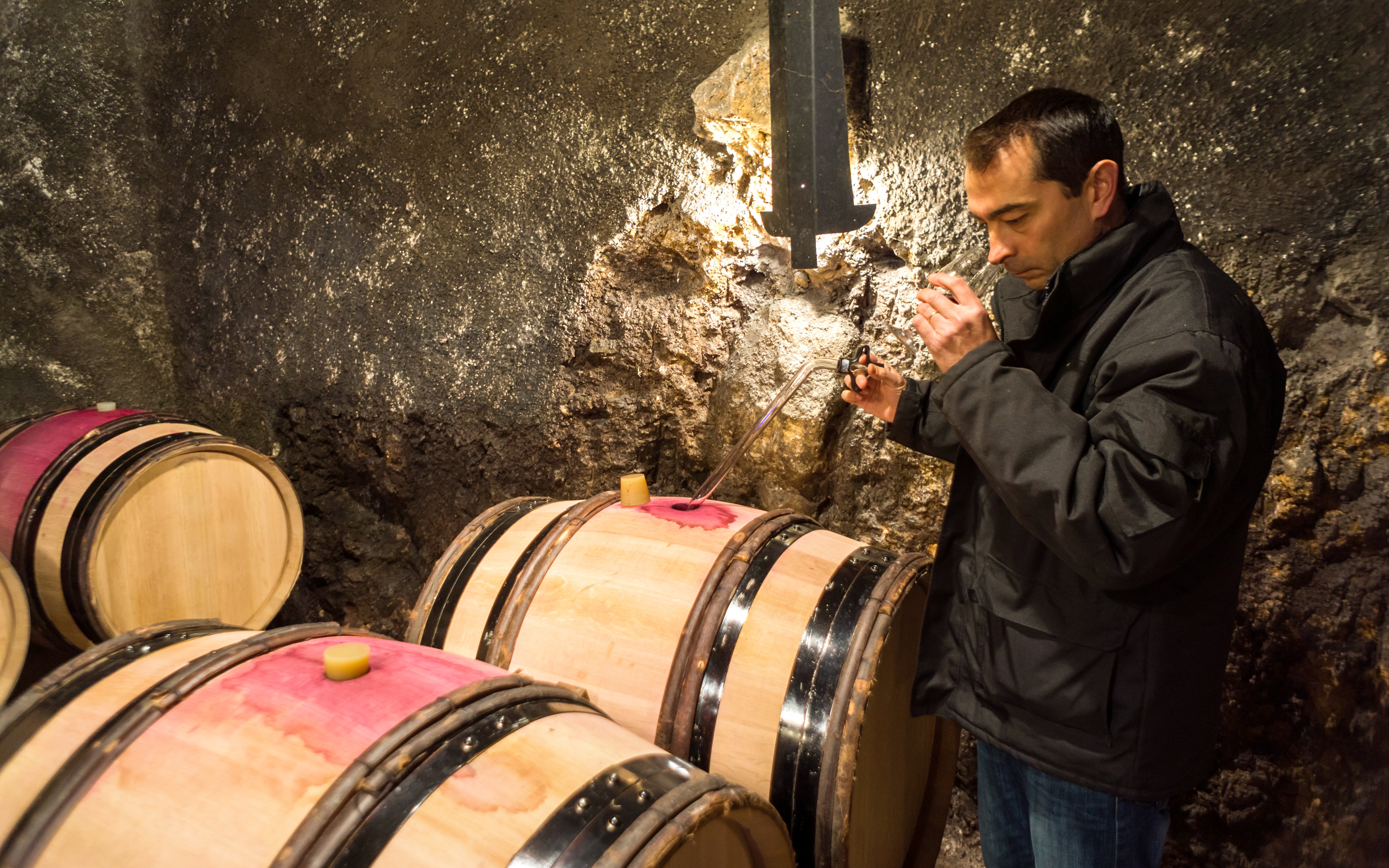 Man sampling wine from barrels in Tvrdoš monastery cellar, Bosnia and Herzegovina.