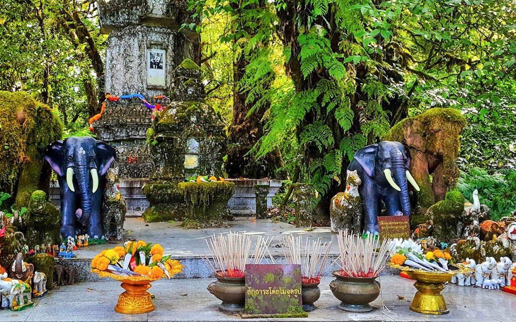 Forest shrine with elephant statues and offerings at Doi Inthanon National Park, Chiang Mai.