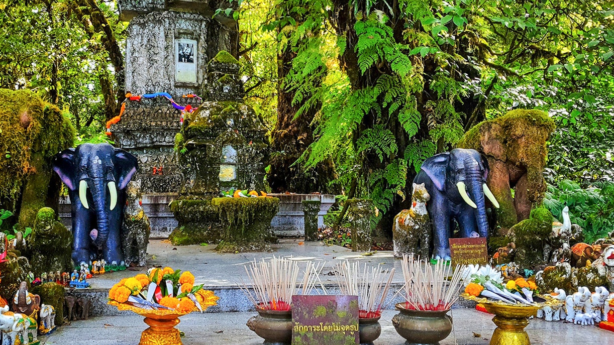 Forest shrine with elephant statues and offerings at Doi Inthanon National Park, Chiang Mai.