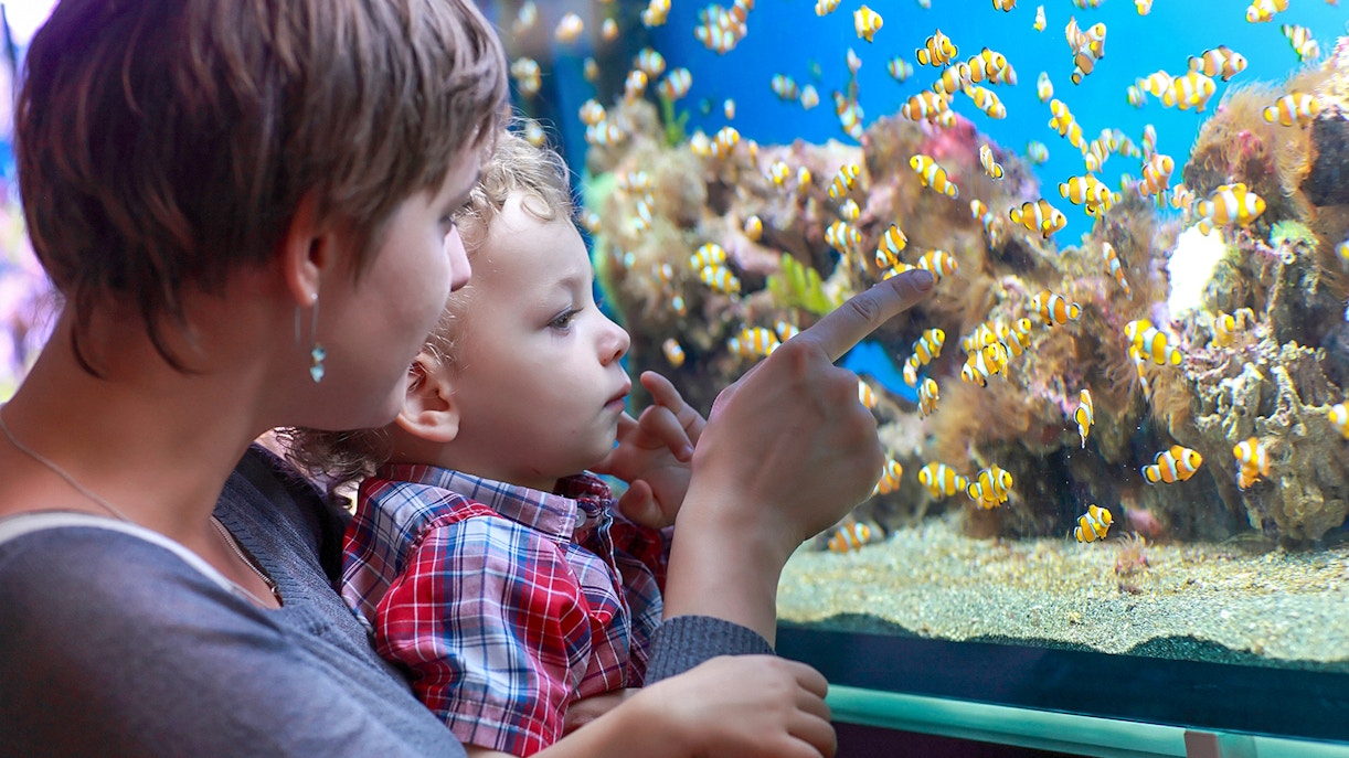 New York Aquarium Timings