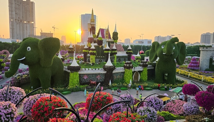 Dubai Miracle Garden with floral castle and elephant topiaries at sunset.