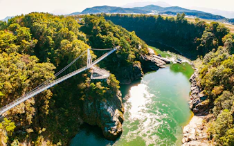Suspension bridge over lush valley and river on DMZ 2nd Tunnel & Cliffside Path tour.