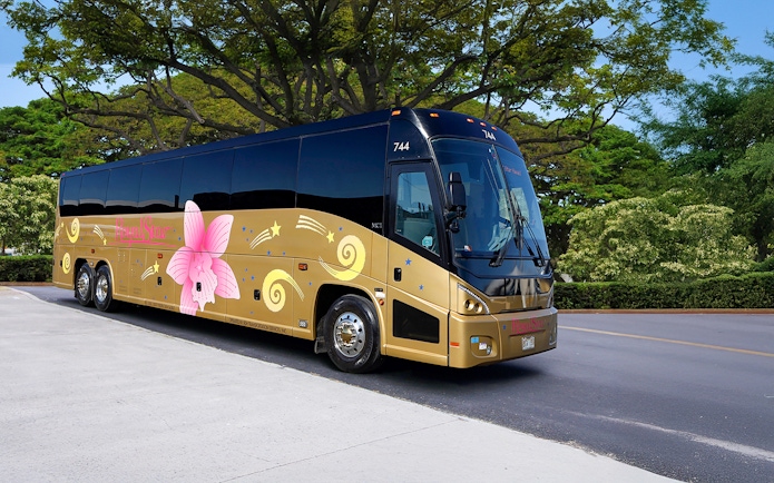 Royal Star Tour bus parked on a scenic road with lush greenery.